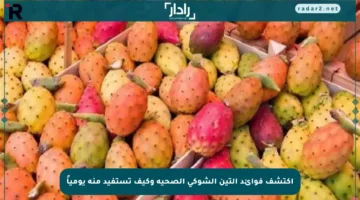 اكتشف فوائد التين الشوكي الصحية وكيف تستفيد منه يومياً